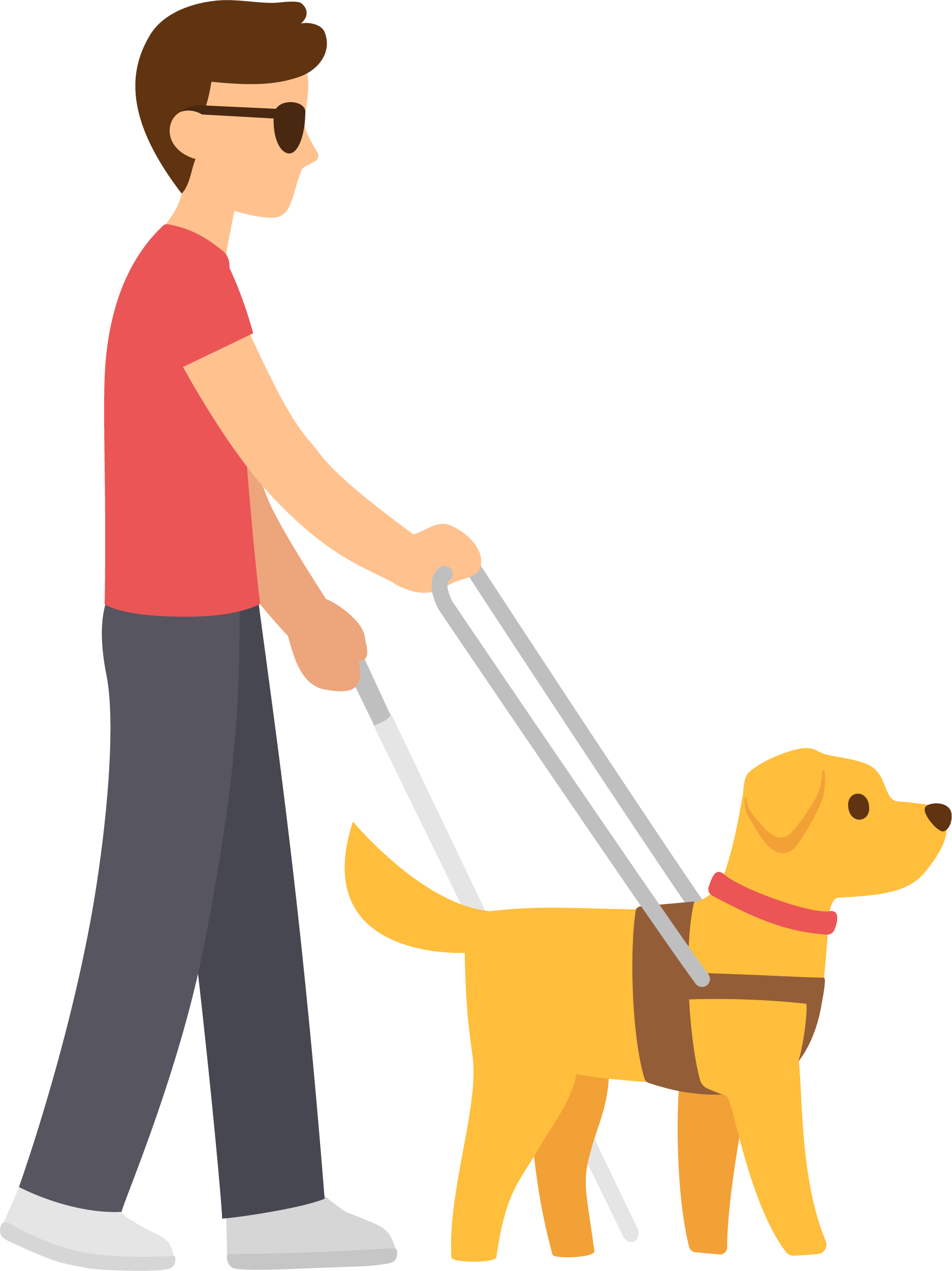 Blind mand med førerhund